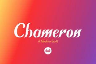 Chameron: The Modern Serif Font for Bold Digital Campaigns