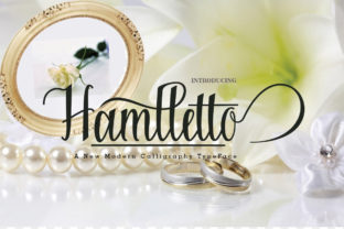 Hamlletto: The Elegant Script Handwritten Font for Boutique Branding
